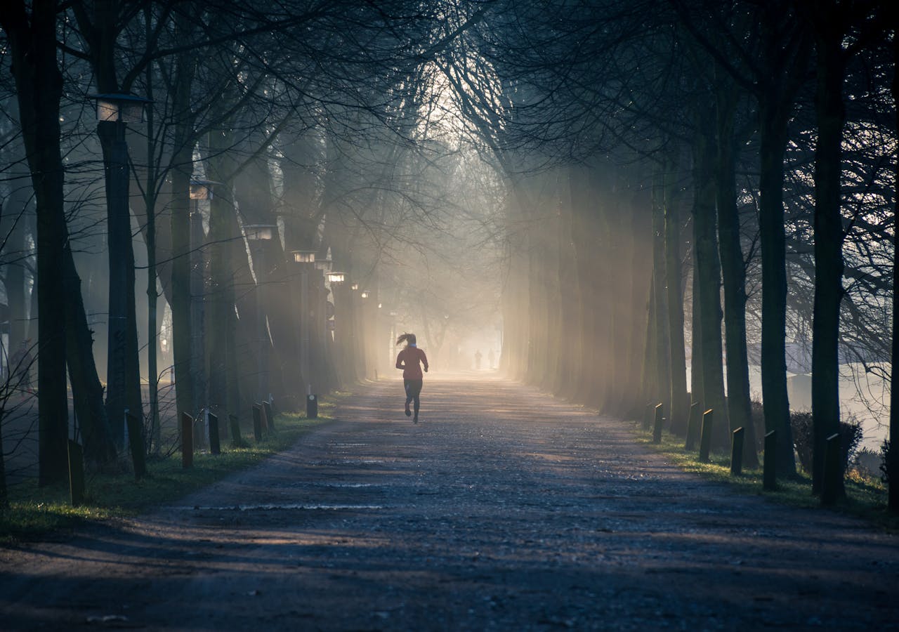 Person Running Near Street Between Tall Trees